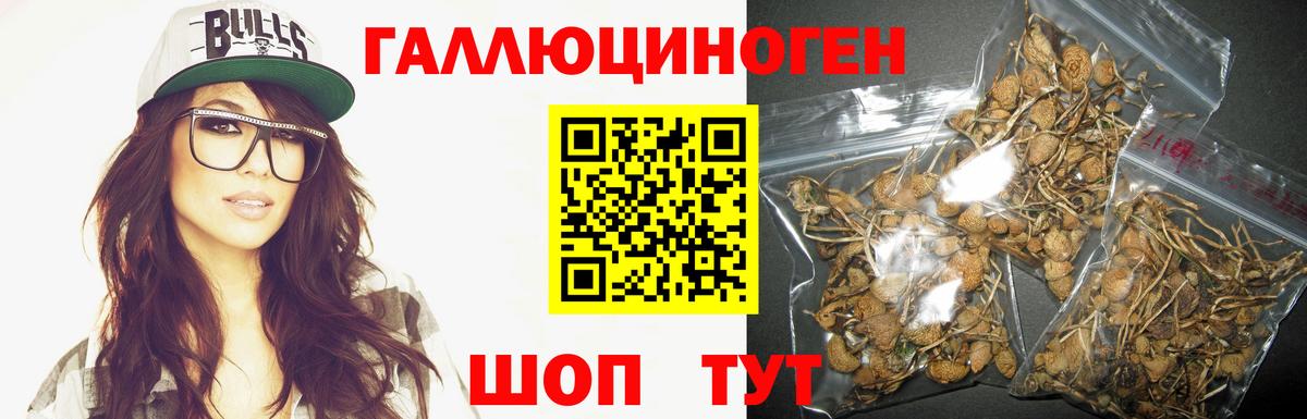 Ишимбай  Галлюциногенные грибы мицелий  Вход с VPN  Галлюциногенные грибы Cubensis 